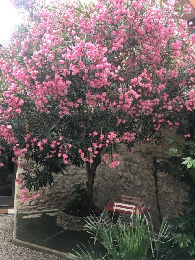 Chambre Sur Jardin Secret - Avignon Centre - Climatisee Exterior photo